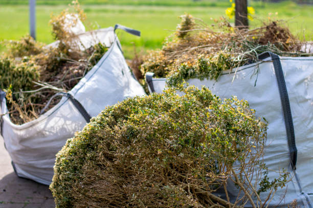 Best Dumpster Rental Services  in Chino Valley, AZ